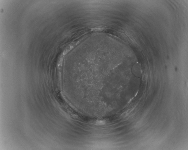 X0000075920647200610151907