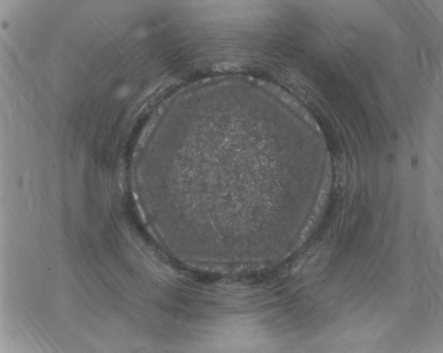 X0000075920648200610151907