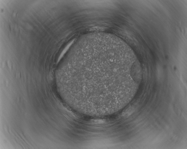 X0000075920649200610151907