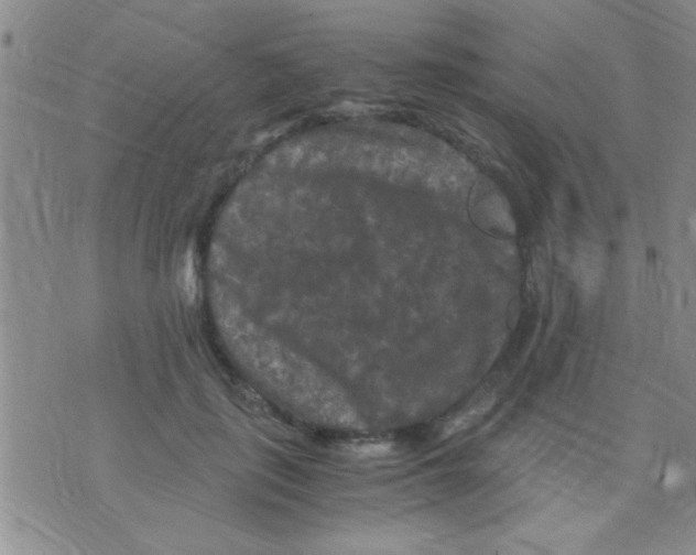 X0000075920651200610151907