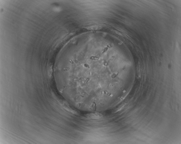 X0000075920652200610151907