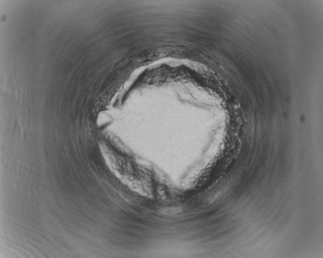 X0000075920653200610151907