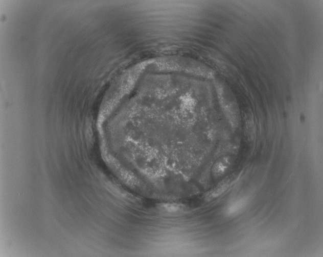 X0000075920654200610151907