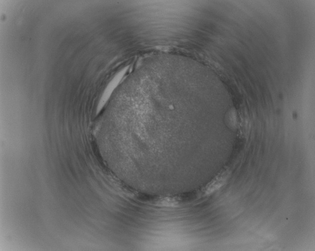 X0000075920656200610151907