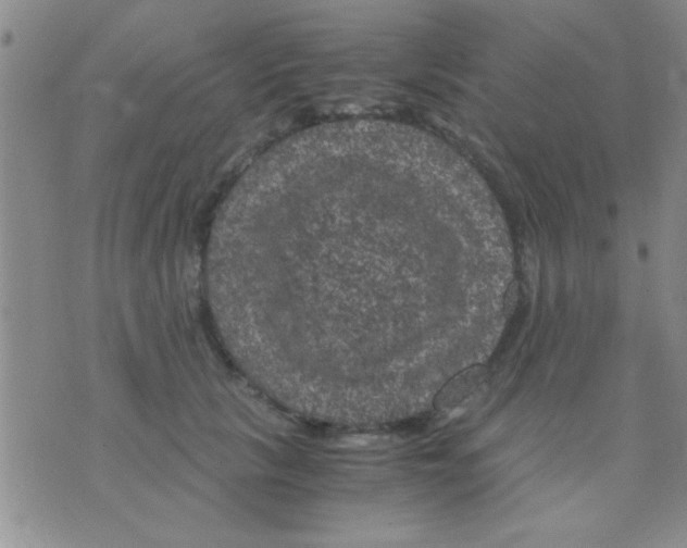 X0000075920657200610151907