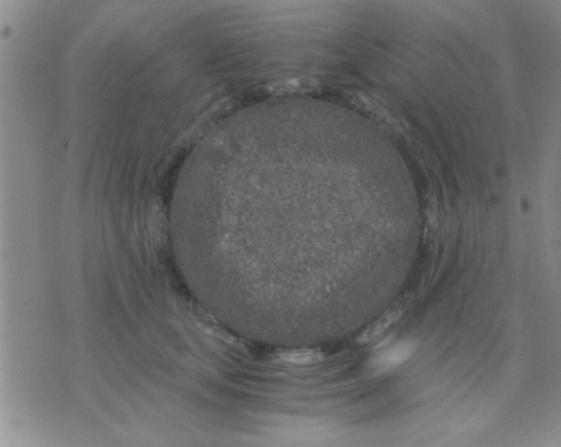 X0000075920659200610151908