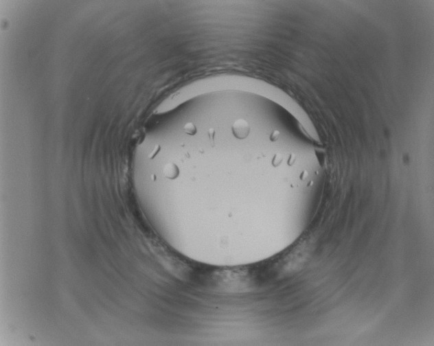 X0000075920660200610151908