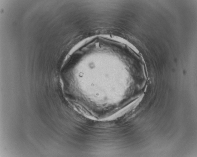 X0000075920661200610151908