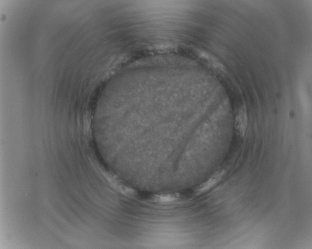 X0000075920662200610151908