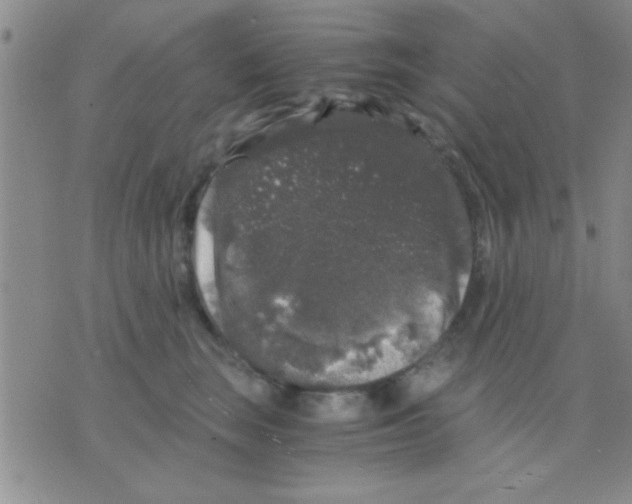 X0000075920663200610151908