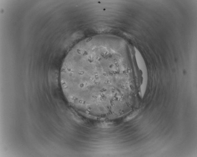 X0000075920664200610151908