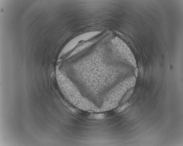 X0000075920665200610151908