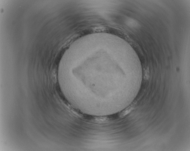 X0000075920666200610151908