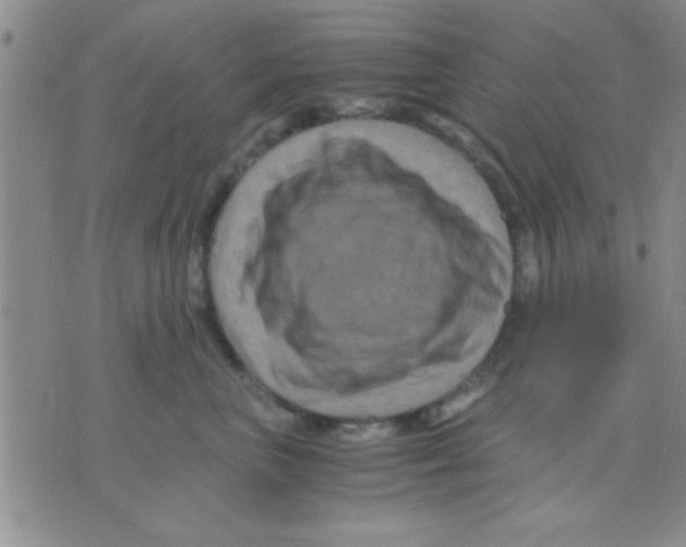 X0000075920667200610151908