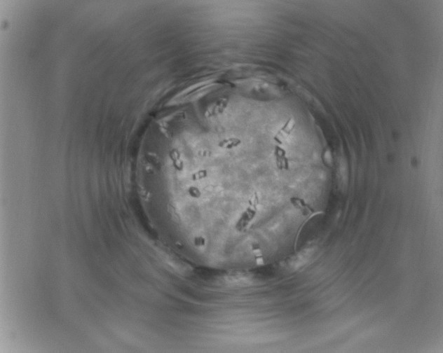 X0000075920668200610151908