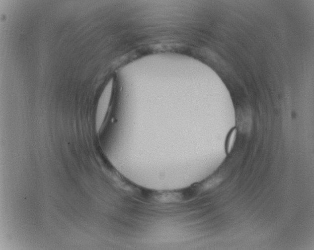 X0000075920670200610151908