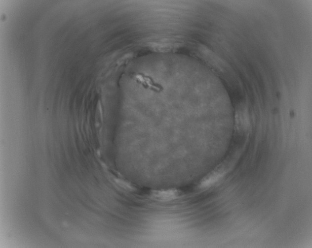 X0000075920671200610151908