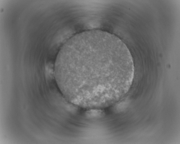 X0000075920672200610151908