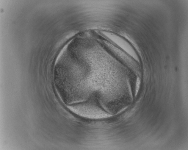 X0000075920673200610151907