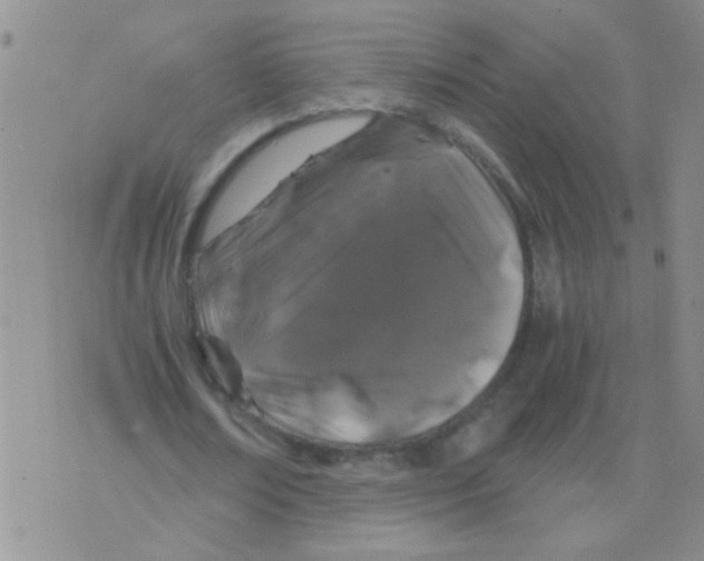 X0000075920674200610151907