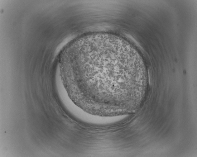 X0000075920675200610151907