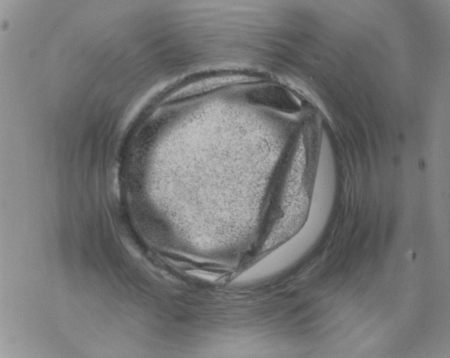 X0000075920676200610151907