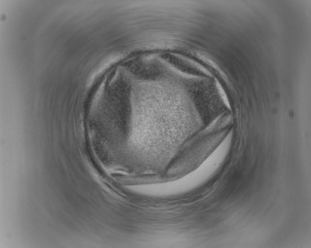 X0000075920677200610151907