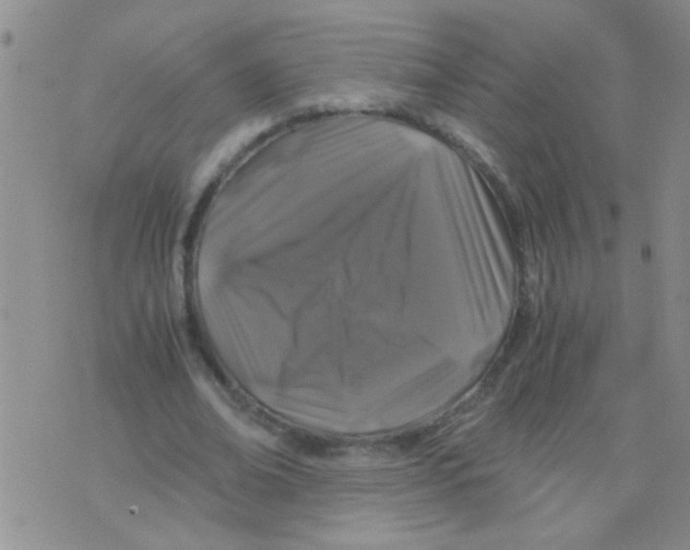 X0000075920678200610151907