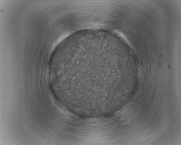 X0000075920679200610151907