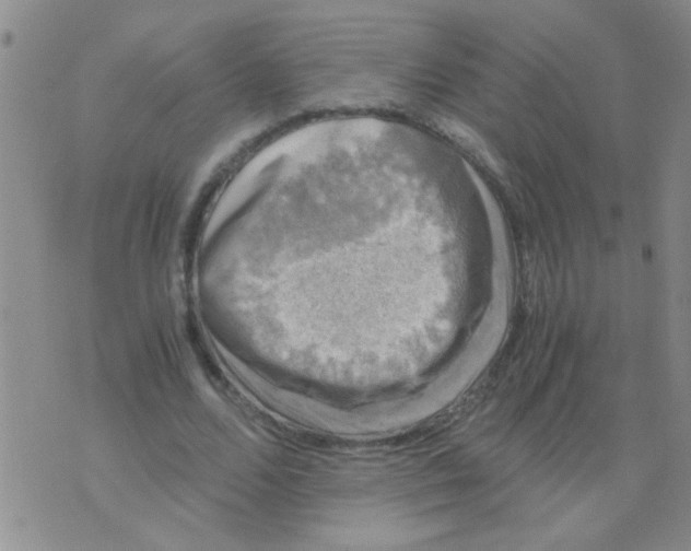 X0000075920680200610151907