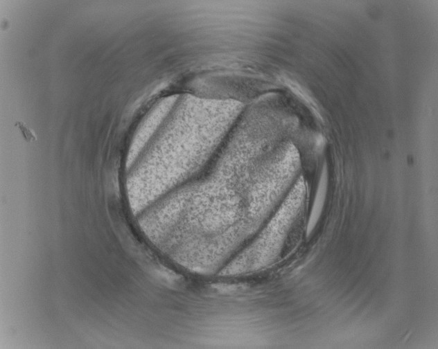 X0000075920681200610151907