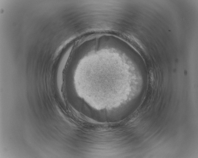 X0000075920684200610151907