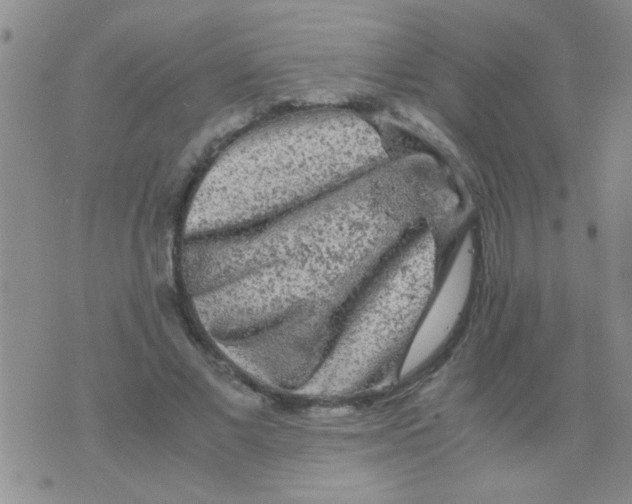 X0000075920685200610151907