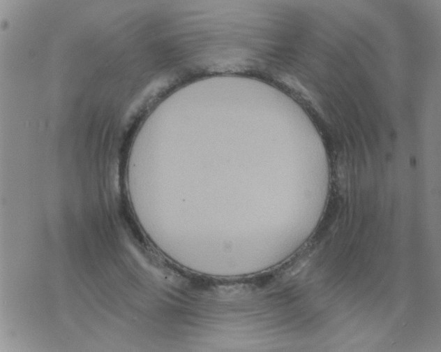 X0000075920686200610151907