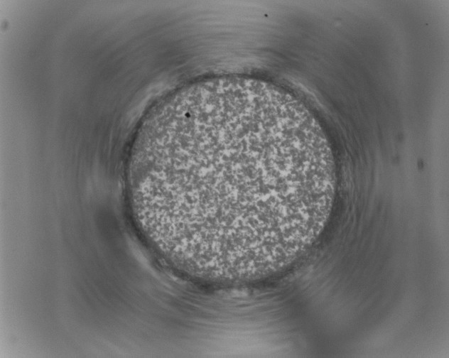 X0000075920687200610151907