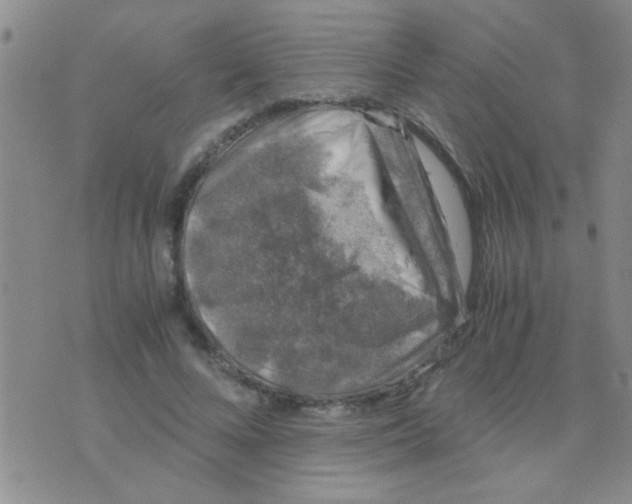 X0000075920688200610151907