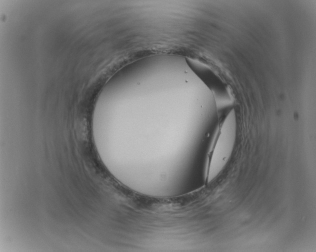 X0000075920689200610151907