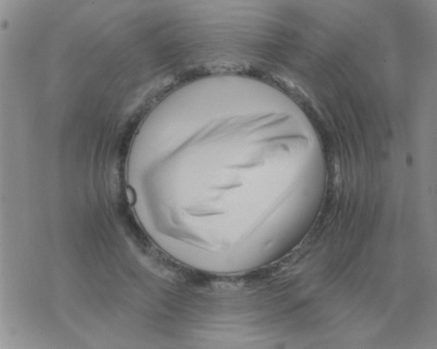 X0000075920690200610151907