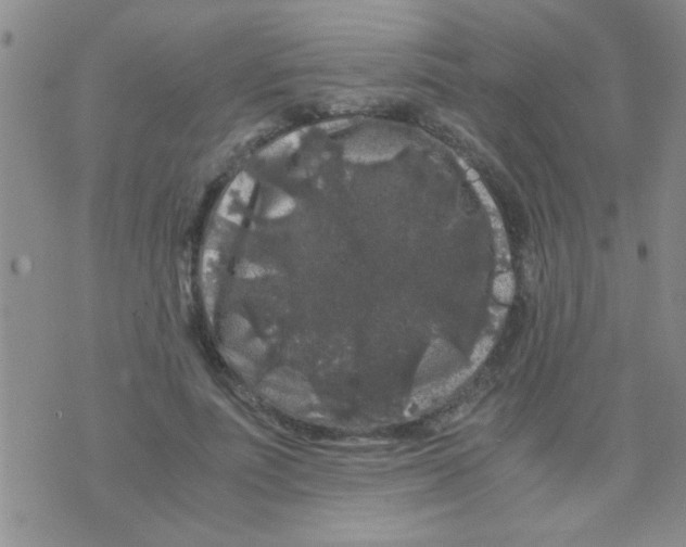 X0000075920691200610151907