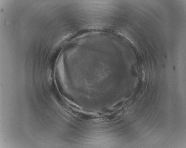 X0000075920692200610151907