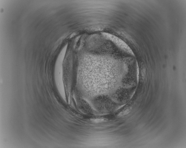 X0000075920693200610151907