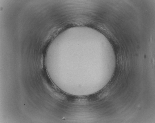 X0000075920694200610151907