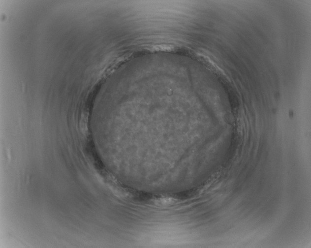 X0000075920695200610151907