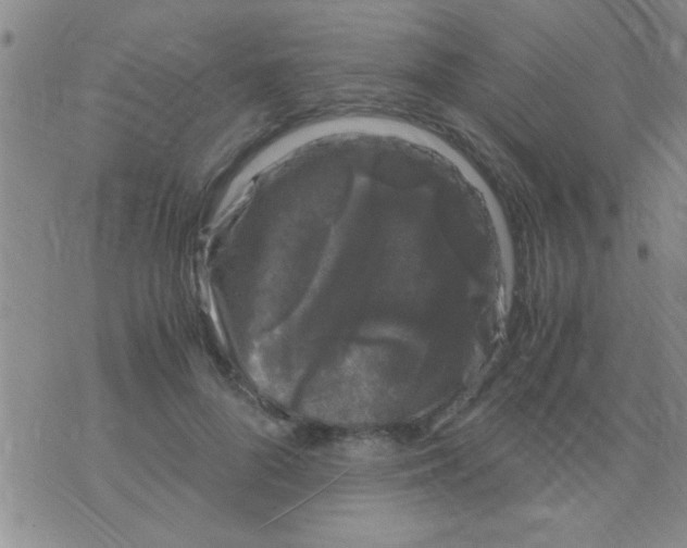 X0000075920696200610151907