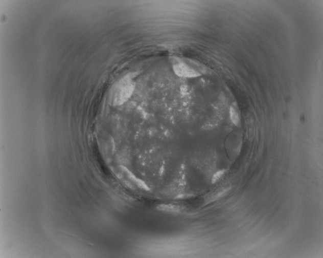 X0000075920699200610151907