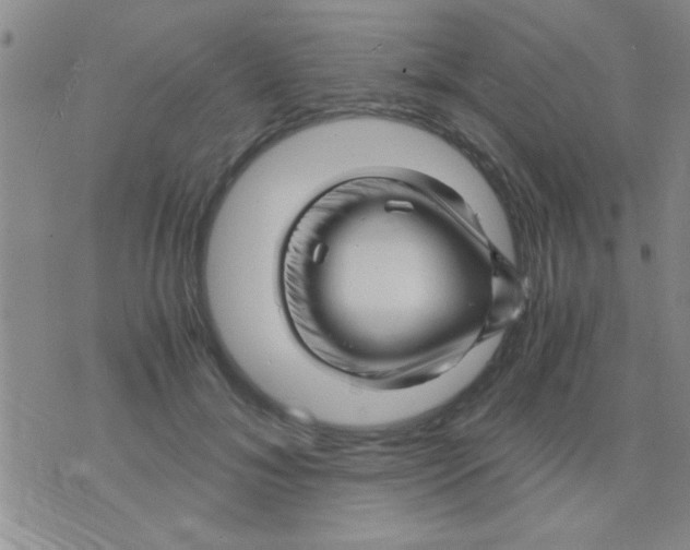 X0000075920700200610151906