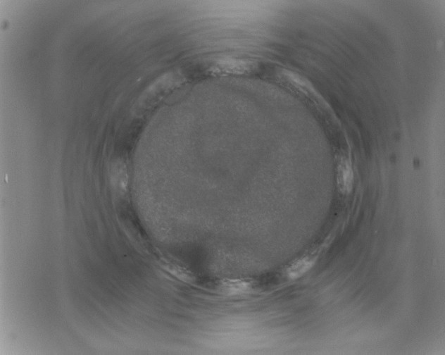 X0000075920701200610151906