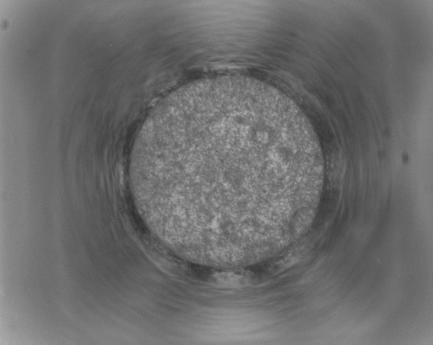 X0000075920703200610151906