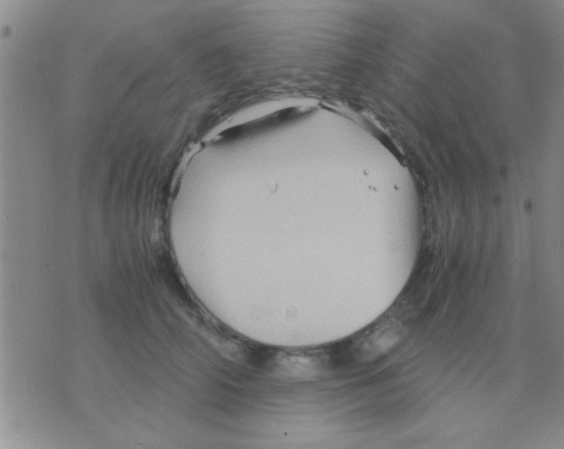 X0000075920706200610151906