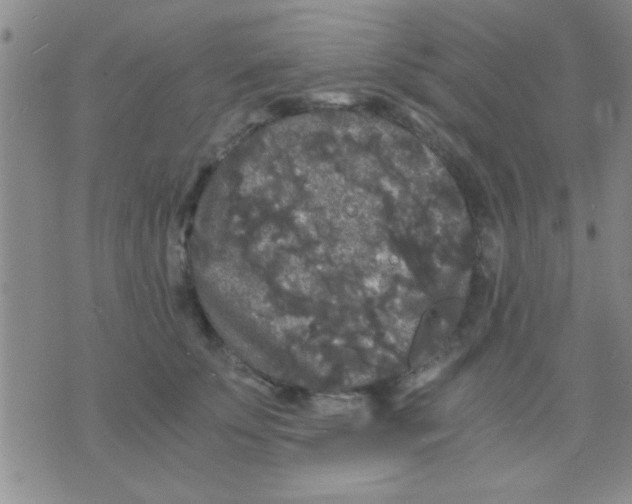 X0000075920707200610151906